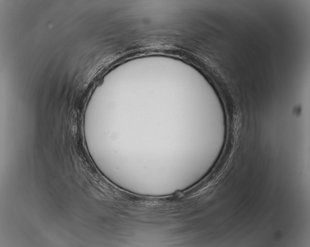 X0000115601257200912011519