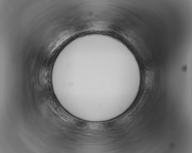 X0000115601258200912011519