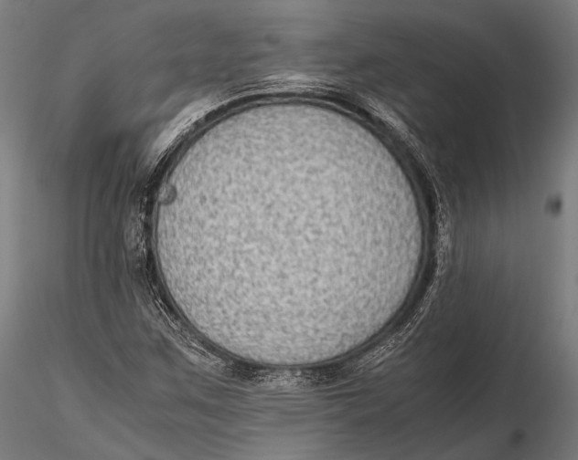 X0000115601259200912011519