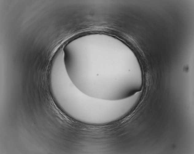 X0000115601260200912011519