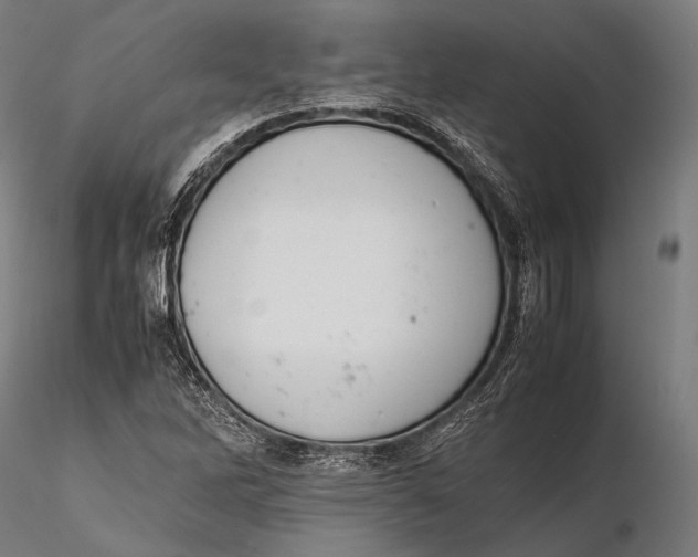 X0000115601262200912011518