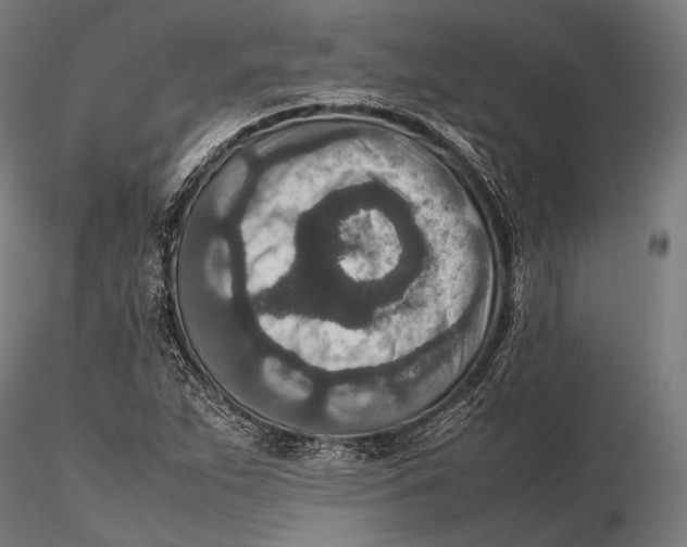 X0000115601263200912011518