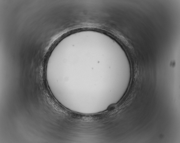 X0000115601264200912011518