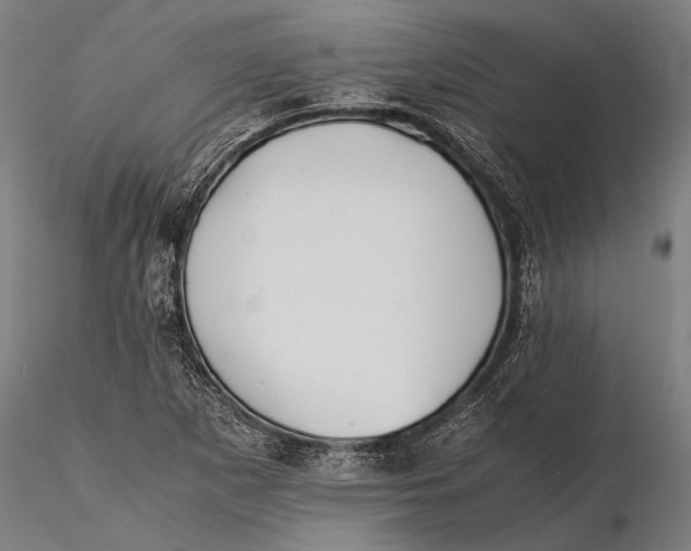 X0000115601265200912011518