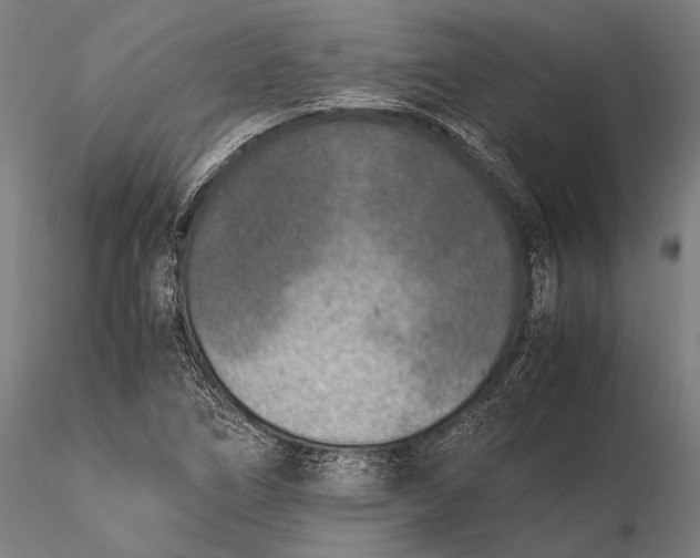 X0000115601266200912011518