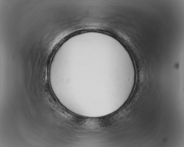 X0000115601267200912011518