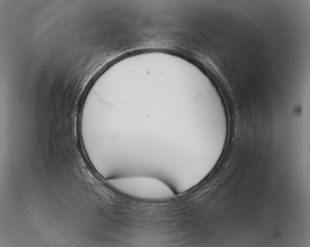 X0000115601268200912011518