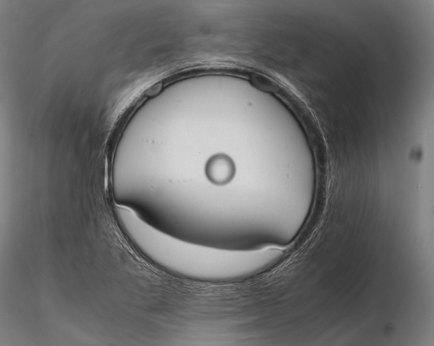 X0000115601269200912011518