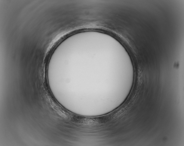 X0000115601270200912011518