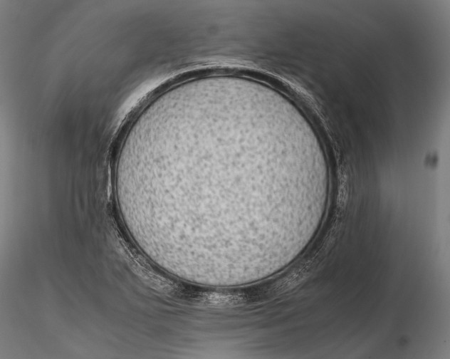 X0000115601271200912011518