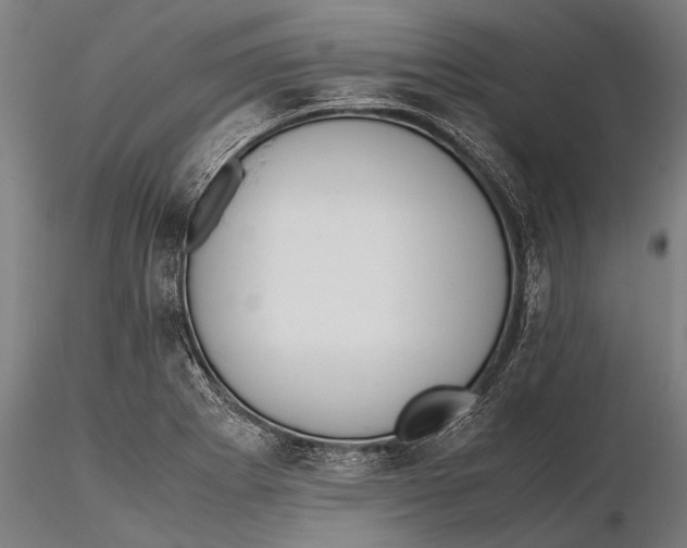 X0000115601273200912011518