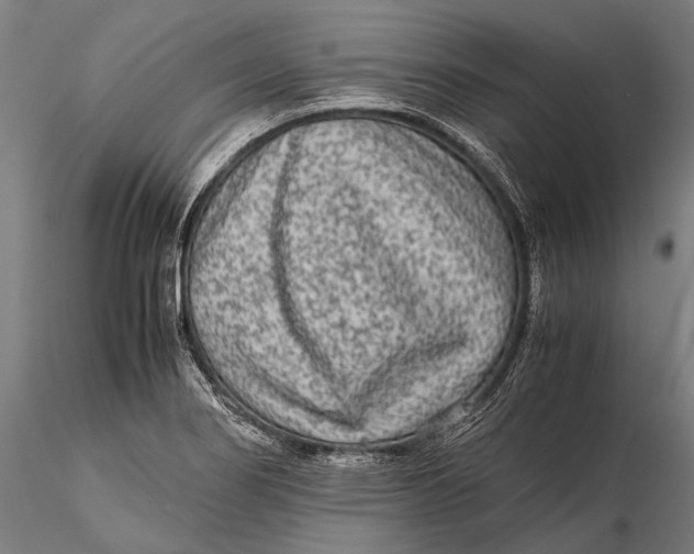 X0000115601274200912011518