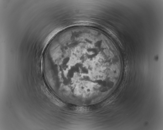 X0000115601275200912011518