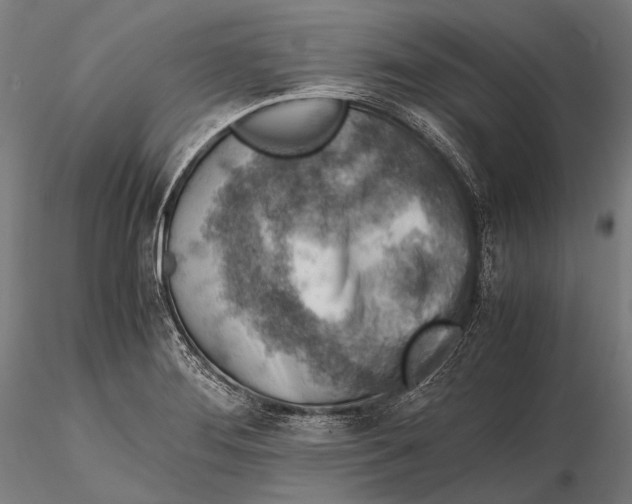 X0000115601276200912011518