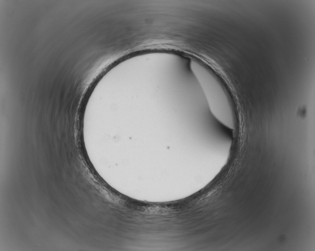 X0000115601277200912011518