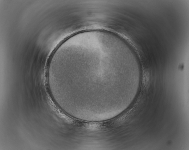 X0000115601278200912011518