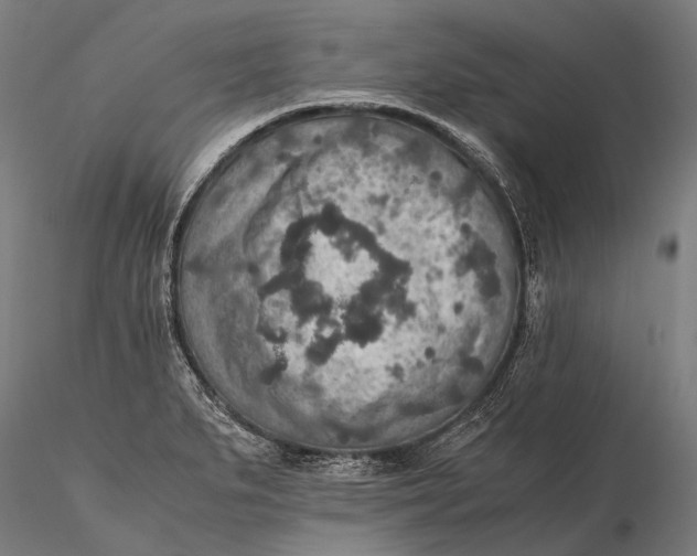 X0000115601279200912011518