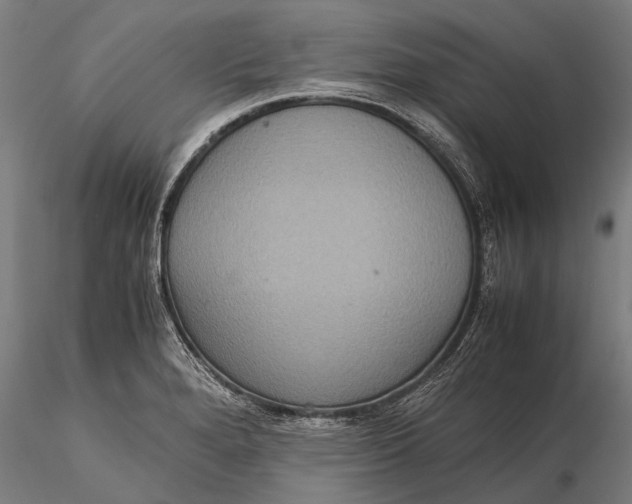 X0000115601280200912011518