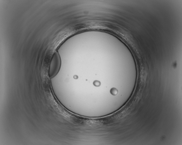 X0000115601281200912011518