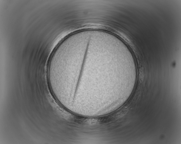 X0000115601283200912011518