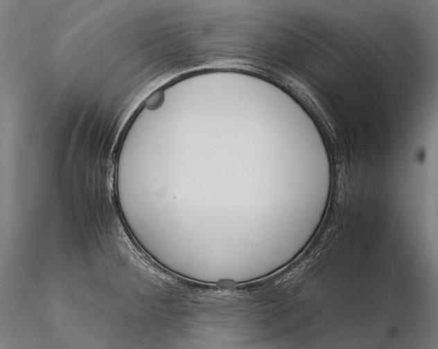 X0000115601284200912011518