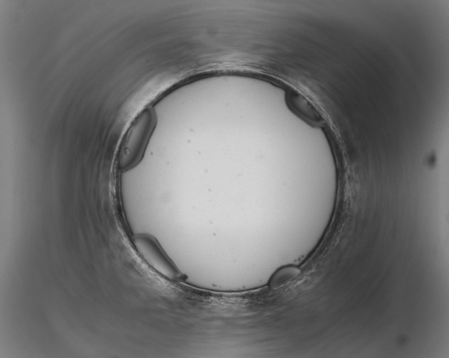 X0000115601285200912011518