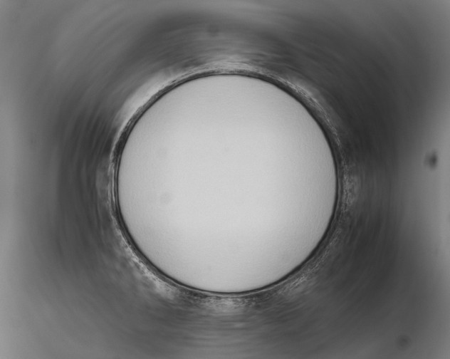 X0000115601286200912011518