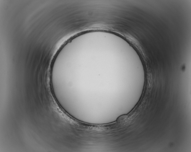 X0000115601288200912011518