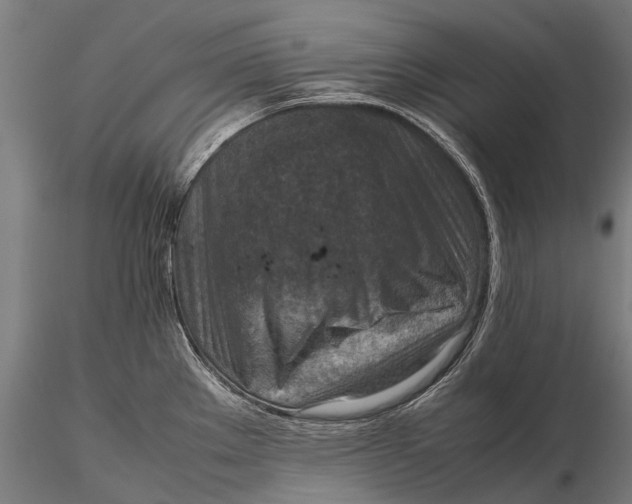 X0000115601289200912011518