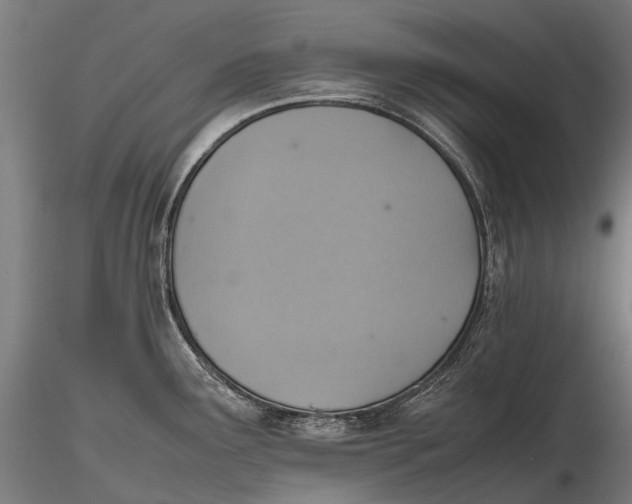 X0000115601291200912011518