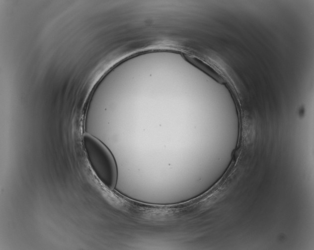 X0000115601292200912011518