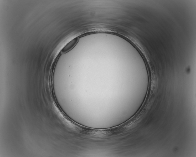 X0000115601293200912011518