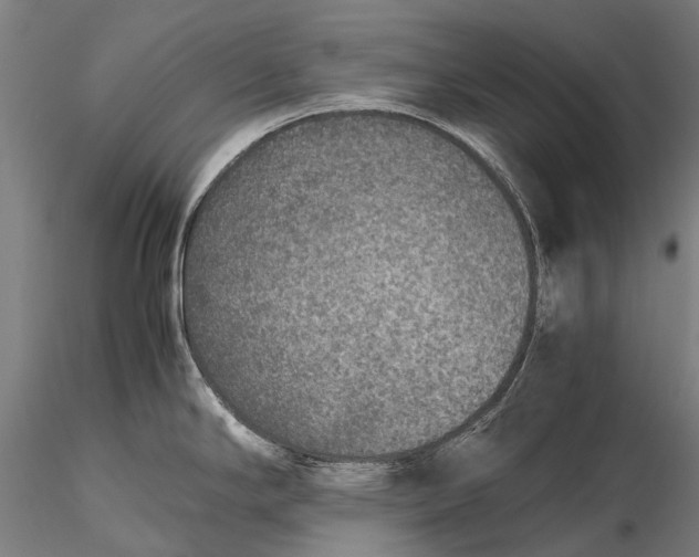 X0000115601294200912011518