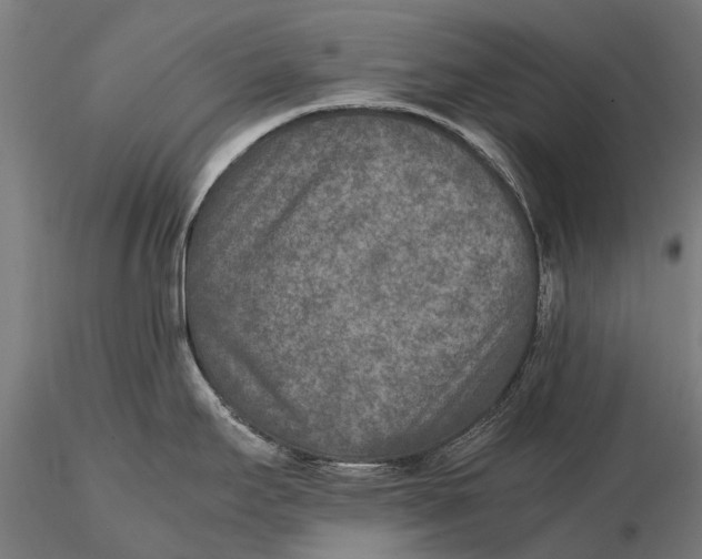 X0000115601295200912011518