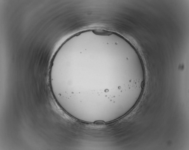 X0000115601296200912011518