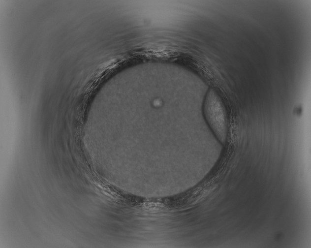 X0000115601297200912011517