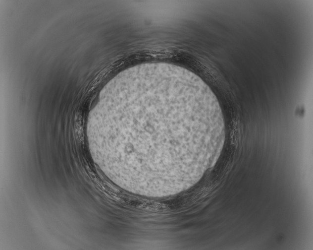 X0000115601298200912011517