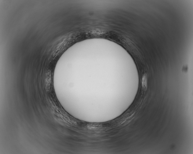 X0000115601299200912011517