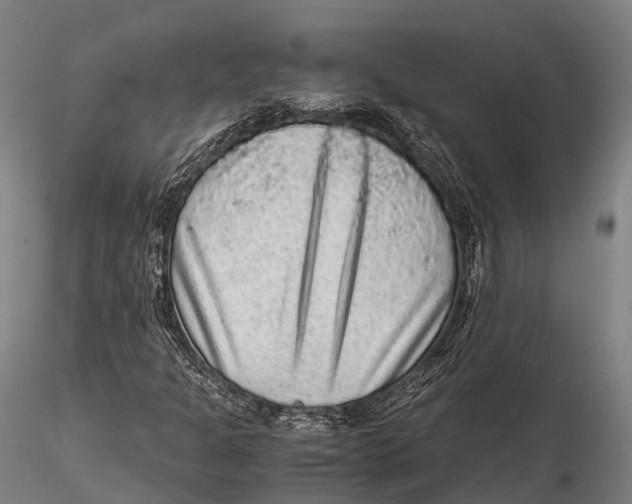 X0000115601301200912011517