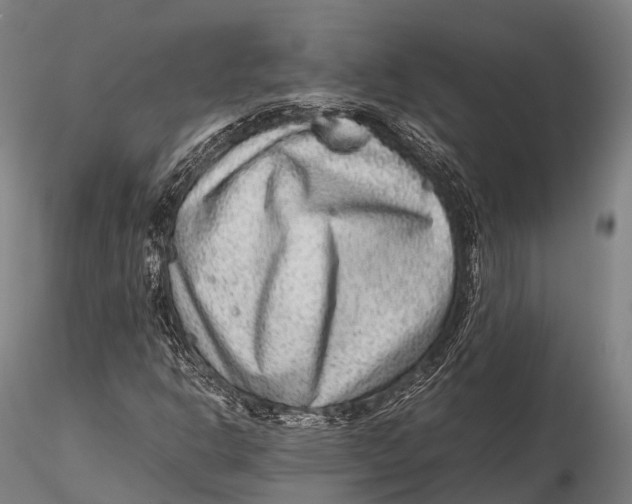 X0000115601302200912011517