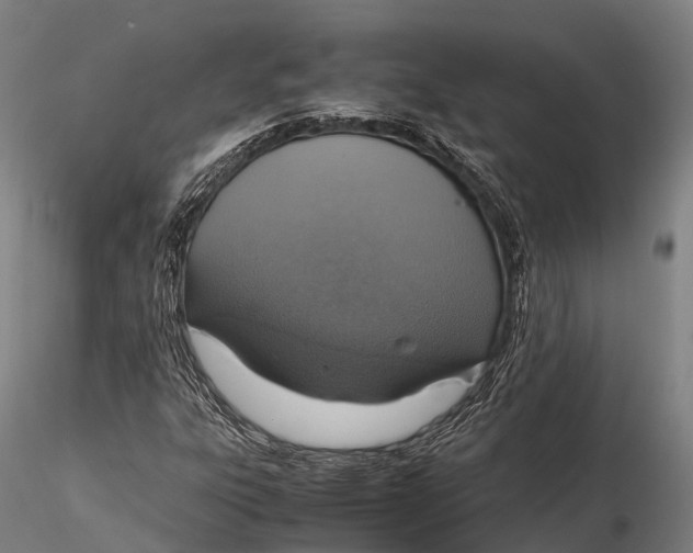 X0000115601303200912011517