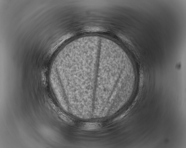 X0000115601305200912011517