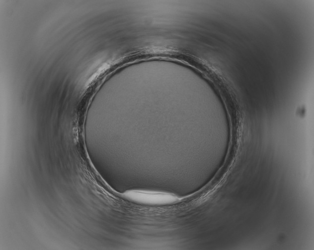 X0000115601306200912011517