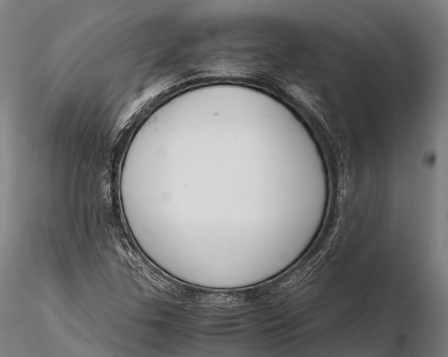 X0000115601307200912011517