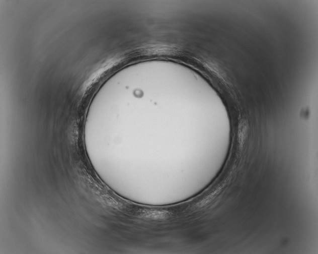 X0000115601309200912011517