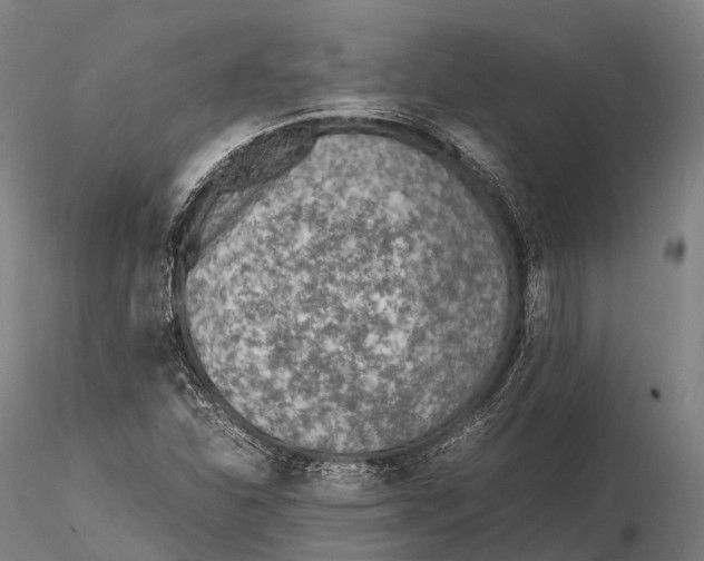 X0000115601310200912011517