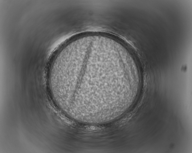 X0000115601311200912011517