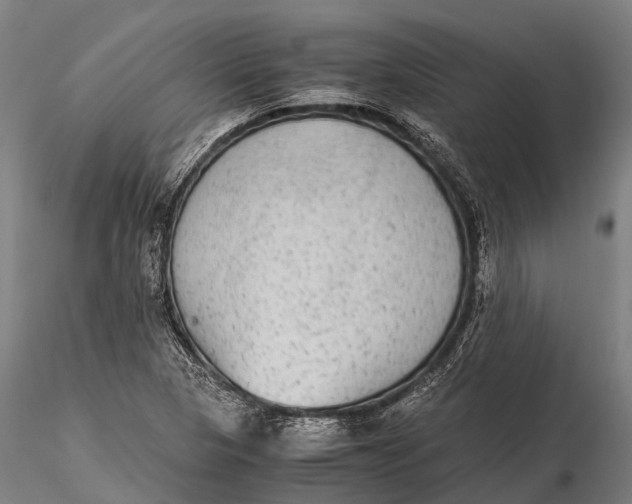 X0000115601313200912011517