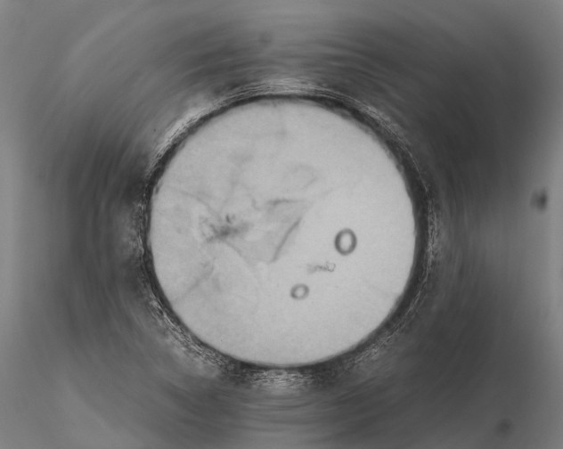 X0000115601314200912011517