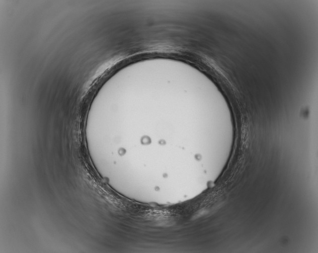 X0000115601315200912011517